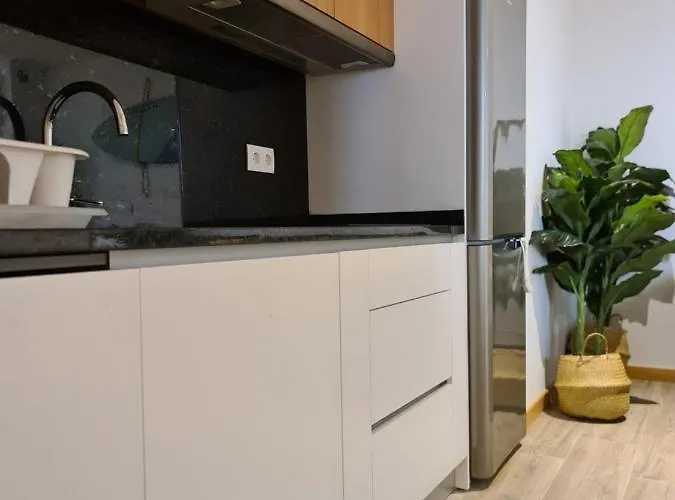 Apartment Gold T2-praia Do Furadouro Ovar